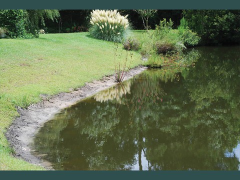 10Before Installation of Wetland Carpet