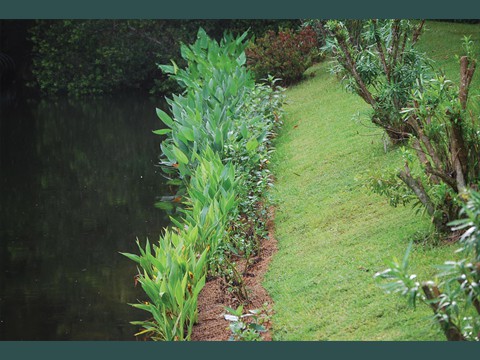 Wetland Carpet Installed