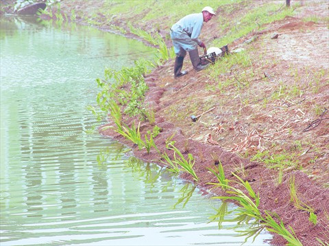 5Installation of wetland carpet