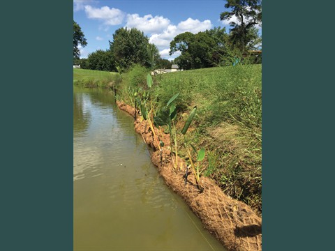 Coir Logs2